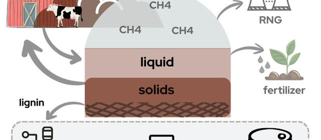 Diagram of a manure-to-products pathway. A dairy cow and barn feed into an anaerobic digester (shown as a dome) that releases CH4 gas, converted to renewable natural gas (RNG), and separates manure into liquid and solid fractions. The liquid fraction is applied as fertilizer, looping back to the farm. The solid fraction yields lignin, which flows into a bioreactor, then a flask containing microbial culture, producing PDC in a labeled barrel.