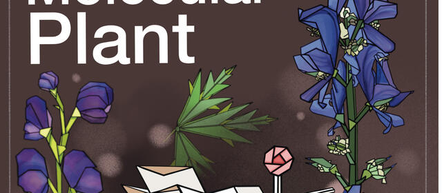 Molecular Plant journal cover featuring a stylized illustration of Aconitum and Delphinium flowering plants flanking an origami-style diterpenoid alkaloid molecule and a petri dish with crystals, rendered in a stained-glass aesthetic against a dark background.