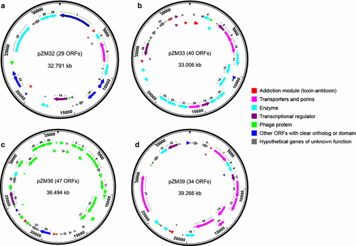 Complete genome sequence and the expression pattern of plasmids of the ...