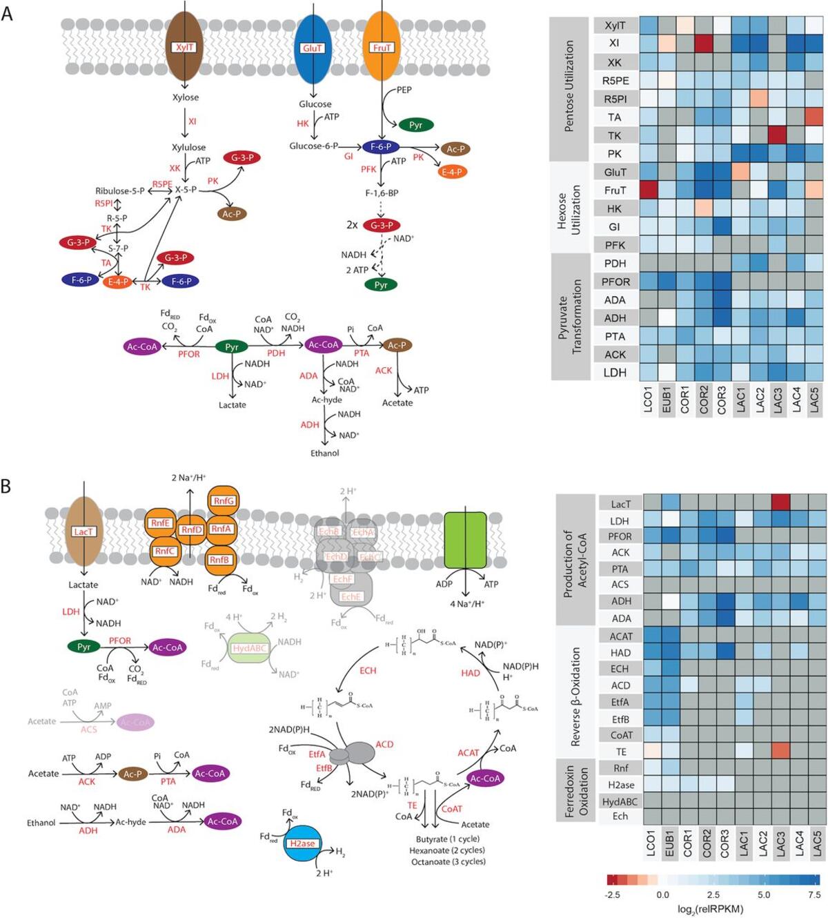 do guys think about marriage when dating