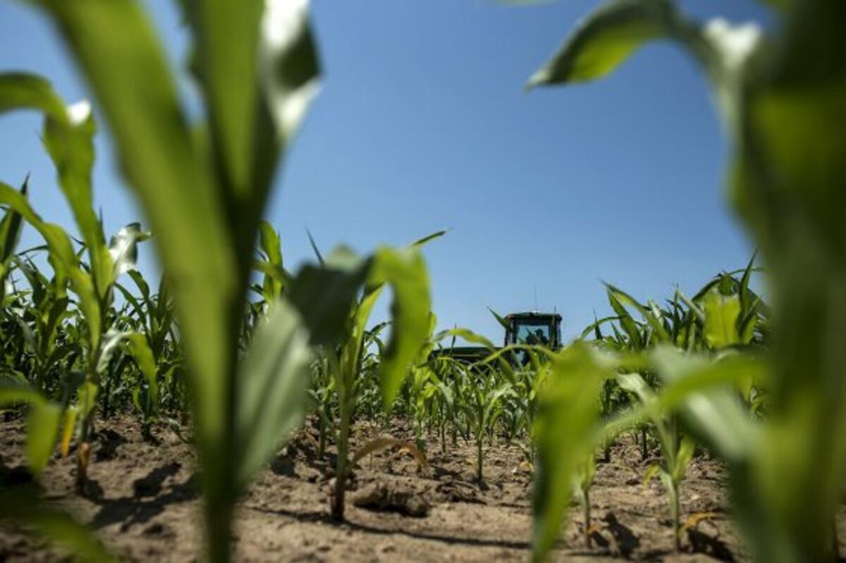 Satellite And Yield Data Identify Unprofitable Acres Great Lakes