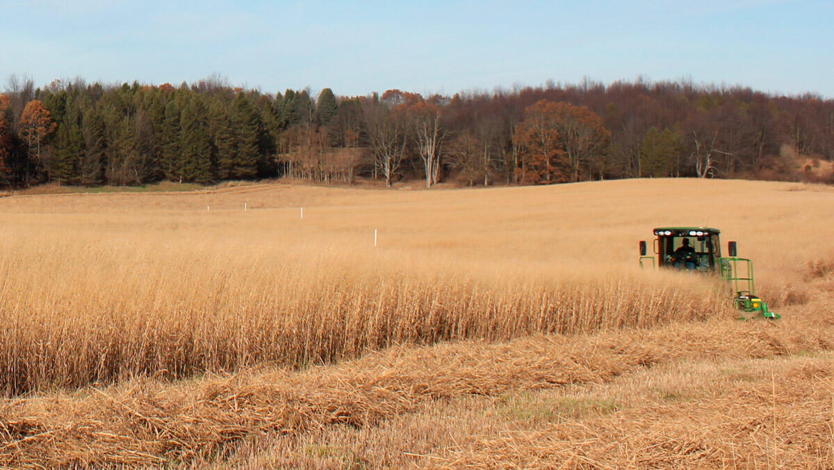 Ecosystem carbon balances on CRP grassland conversion to cropping