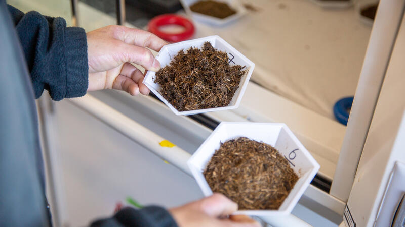 A researcher in a lab holds two white hexagonal trays containing fibrous brown particles.. Additional sample trays are visible on the laboratory bench in the background.