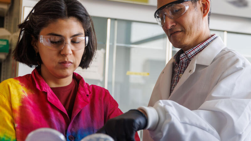 Two researchers wearing safety glasses examine colony plates, with one pointing to colony growth on a gridded agar plate held by the other.