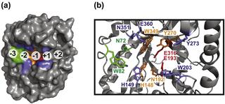 Figure 1 from Glasgow et al