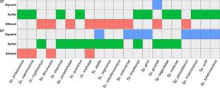 m the order Serinales generate different metabolic end-products based on oxygen levels.
