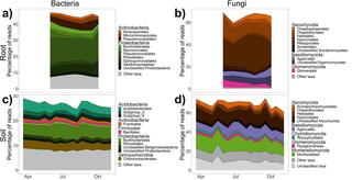 Stacked bar plots of the top ten most abundant orders across the growing season within core microbiome