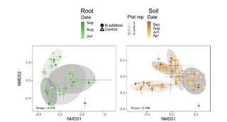 Fungal community compositions across the growing season of Lux Arbor: NMDS plots of the root and soil communities of switchgrass monoculture