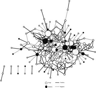 Interdomain network correlations in the switchgrass phyllosphere.