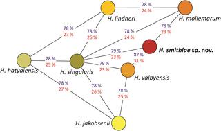 Genomic relationships between species closely related to Hanseniaspora smithiae sp. nov.