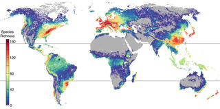 Global yeast diversity