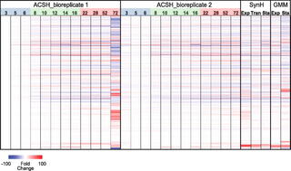 Global gene expression patterns of GLBRCE1