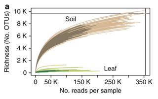 Rarefaction curves of quality-controlled reads.