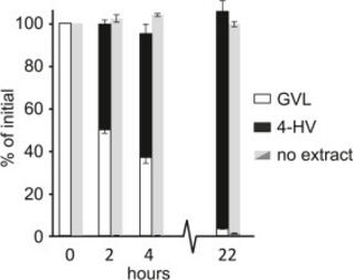 Time-dependent conversion of GVL (white bars) to 4-HV (black bars) using a whole cell extract from Rhodopseudomonas palustris.