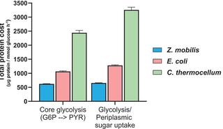 In vivo protein costs for glycolytic reactions and pathways.
