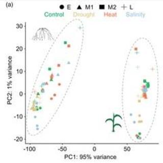 Selected co-expression modules generated by WGCNA.