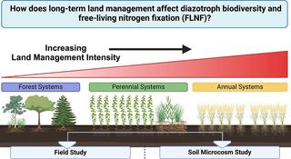 How long does long-term land management affect diazotroph biodiversity