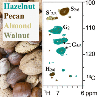 Nutshells and their NMR structure.