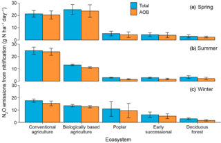 Seasonal potential N2O production from nitrification