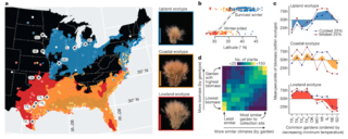 Climatic adaptation within and among switchgrass ecotypes.