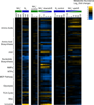 Relative intracellular metabolite abundance. 