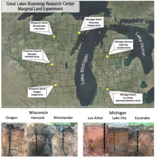 MLE site locations and soil profiles.