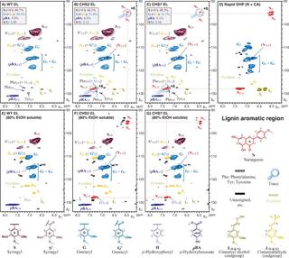 Analysis of aromatic region in 2D HSQC NMR spectra.