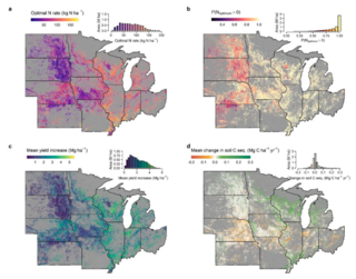 Production outcomes at the projected optimal N fertilizer rate.