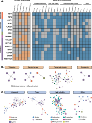 Biosynthetic potential compared to expression of amino acid and vitamin synthesis pathways for top 15 expressed MAGs.