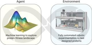 Self-driving Autonomous Machines for Protein Landscape Exploration (SAMPLE) platform for fully autonomous protein engineering