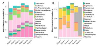 Composition of prokaryotic and fungal genera during wheat straw degradation.
