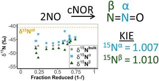 sotopic Fractionation and Kinetic Isotope Effects of a Purified Bacterial Nitric Oxide Reductase (NOR)