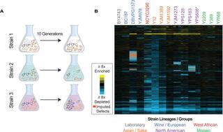 Overview of experiments and results. 