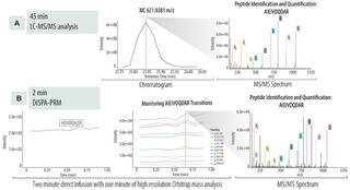 The application of DISPA-PRM for rapid targeted quantification of bacterial enzymes 