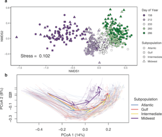 Structural and successional change in the leaf phyllosphere community shown by 2 methods.