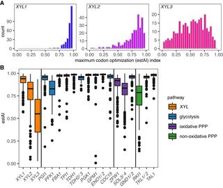 Distribution of codon optimization indices (estAI values)