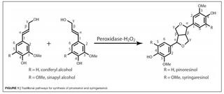 Traditional pathways for synthesis of pinoresinol and syringaresinol.
