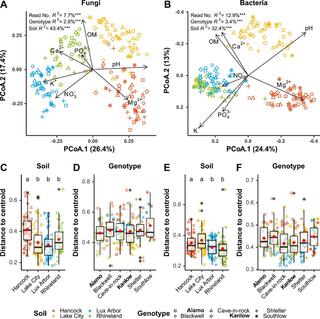 Community structure shown by principal coordinate analysis (PCoA) and distance to centroid distributions. 