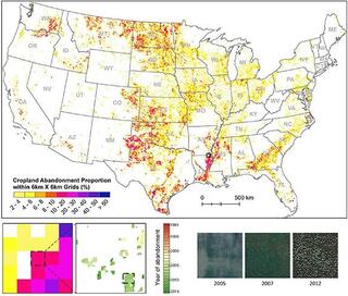 Spatial patterns of cropland abandonment in CONUS, 1986–2018