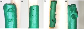 Examples of marks left by (a) chewing arthropods, (b) arthropod proboscis or ovipositor, (c) bird beak, and (d) rodent teeth.