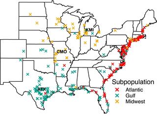 Plants show evidence of affinity to local bacterial strains