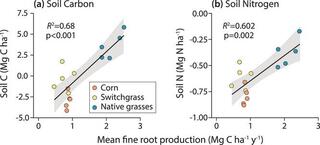 Relationship between soil (a) carbon (C) and (b) nitrogen (N) stock changes and mean fine root production