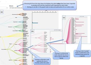 Overview of display of fatty acid chemotaxonomic information in Plant FAdb