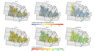 Figure shows the impacts of projected summer temperature and rainfall trends on water stress days and yields for corn grown in the Midwest over the past 30, 60, and 125 years
