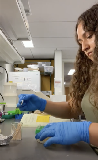 A young woman is doing lab work at a bench.