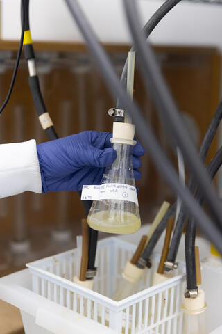 A hand in a blue latex glove holds a flask of yellow liquid connected to black tubing