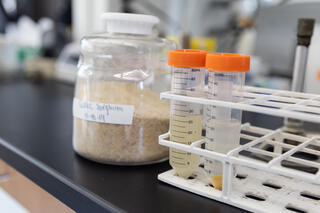 Test tubes in a rack on a black lab bench