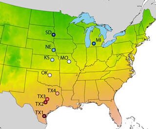 switchgrass locations