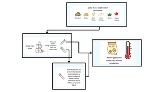 Schematic of the experiment