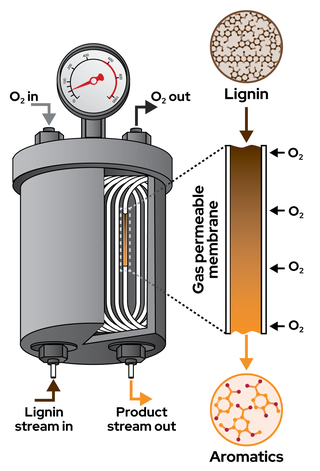 Diagram of a membrane flow bioreactor. The main component is a cylindrical vessel with a rounded top and bottom. Inside is a coiled tube. At the top is a pressure gauge. The diagram includes labeled arrows indicating the flow of materials: